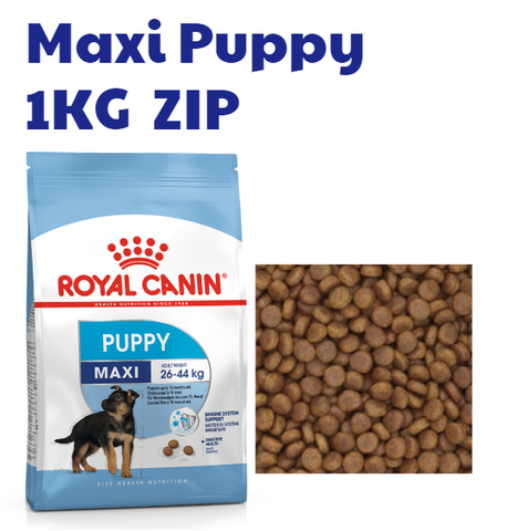 Hạt Maxi Puppy Royal Canin cho Chó con Lông dài