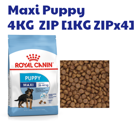 Hạt Maxi Puppy Royal Canin cho Chó con Lông dài