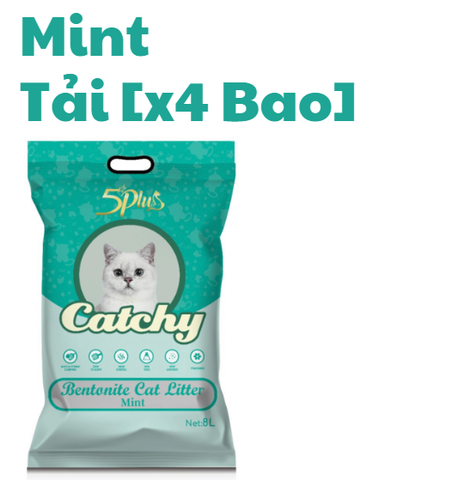 Cát Cactchy - Cát đất sét vệ sinh cho Mèo