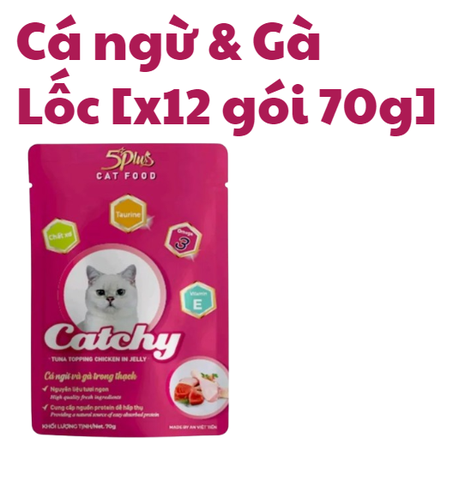 70g - Gói Pate Catchy 5Plus