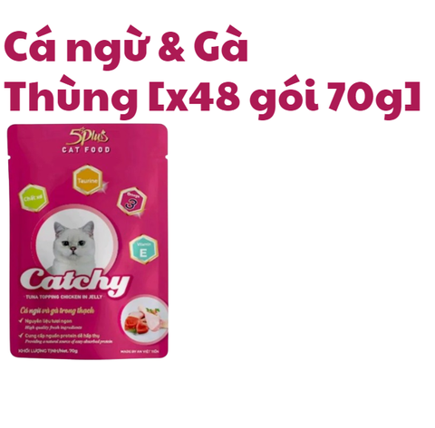 70g - Gói Pate Catchy 5Plus