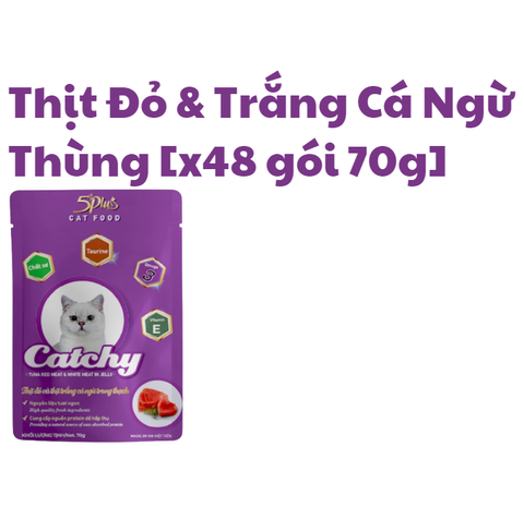 70g - Gói Pate Catchy 5Plus