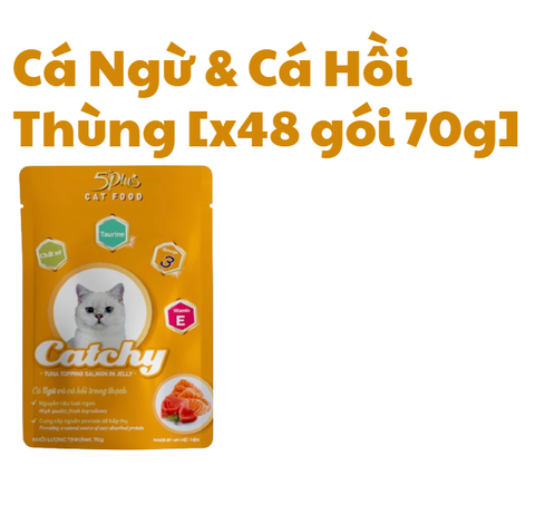 70g - Gói Pate Catchy 5Plus