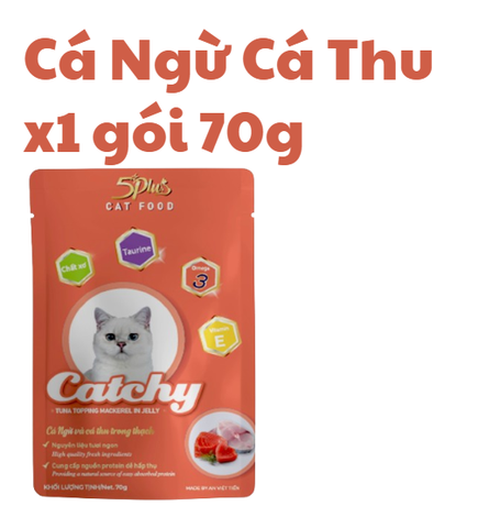 70g - Gói Pate Catchy 5Plus