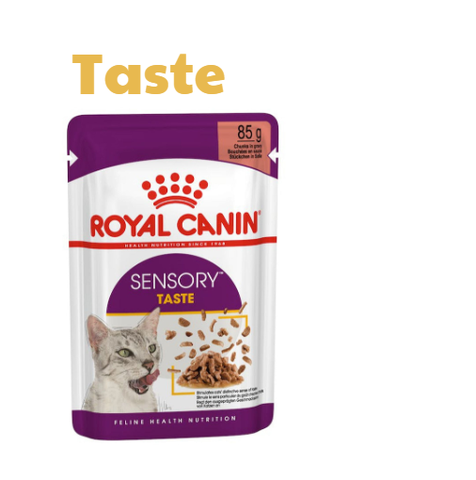 85gr - Gói Pate Sensory Royal Canin Mèo