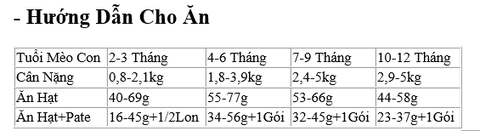 Hạt KITTEN British Shorthair Royal Canin cho Mèo con dưới 12 tháng tuổi giống Anh lông ngắn