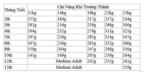 Hạt Medium Puppy Royal Canin cho Chó con giống vừa và lớn