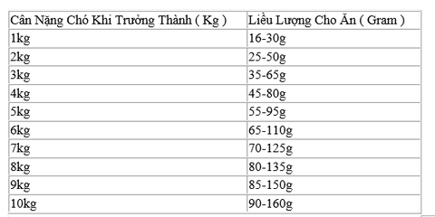 Hạt Mini Adult DOG Pumpkin -Wild Boar, Pumpkin & Apple | Hạt Farmina N&D Heo rừng, Bí ngô, Táo cho Chó nhỏ trưởng thành