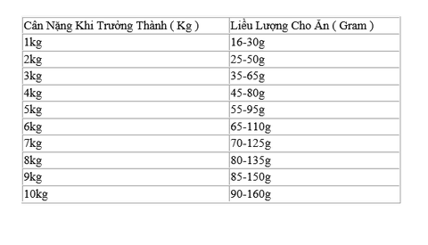 Hạt Mini Adult DOG Ocean -Cod, Pumpkin, Orange | Hạt Farmina N&D Cá tuyết, Bí ngô, Cam cho Chó giống nhỏ trưởng thành