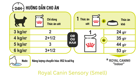 85gr - Gói Pate Sensory Royal Canin Mèo
