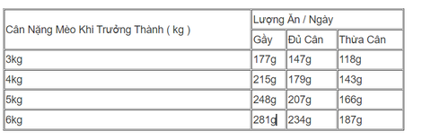 85gr - Pate Monge BWild