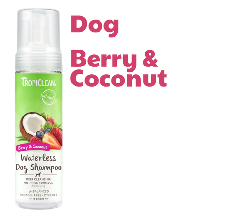 Dog/Cat Waterless Shampoo - Bọt tắm khô Tropiclean cho Chó Mèo