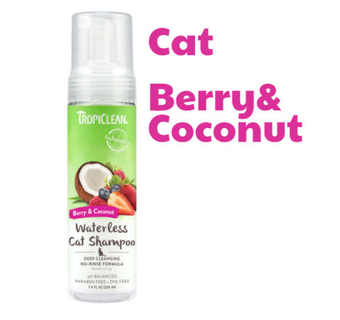 Dog/Cat Waterless Shampoo - Bọt tắm khô Tropiclean cho Chó Mèo