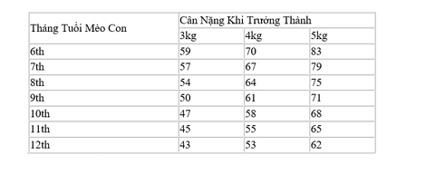 Hạt Skin Coat Royal Canin cho Mèo bị viêm da và rụng lông