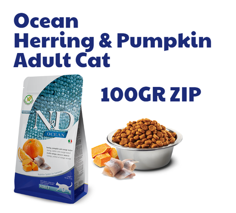 Hạt Adult Cat Ocean -Herring Pumpkin Orange Farmina N&D | Cá trích Bí ngô Cam chco Mèo trưởng thành