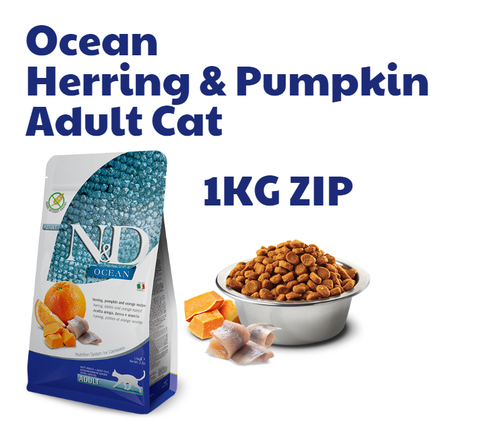 Hạt Adult Cat Ocean -Herring Pumpkin Orange Farmina N&D | Cá trích Bí ngô Cam chco Mèo trưởng thành