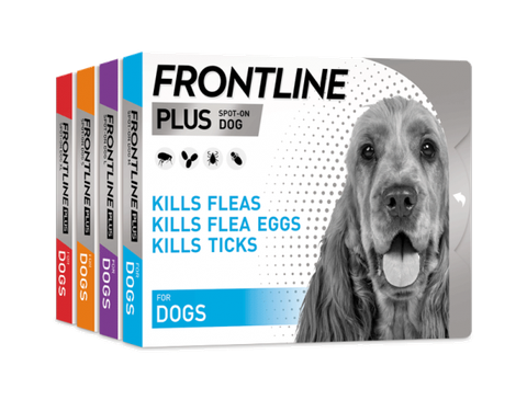 Nhỏ gáy Frontline Plus cho Chó