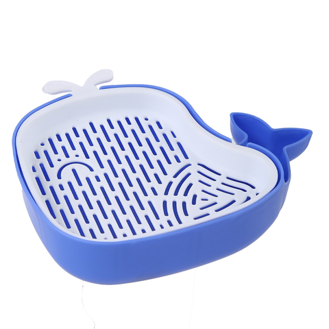 Hộp trồng cỏ mèo hình cá