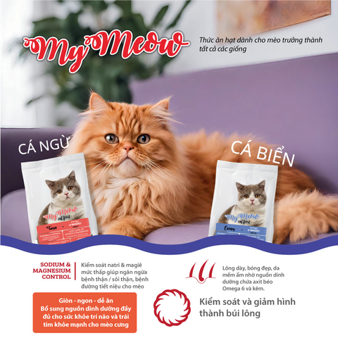 Hạt My Meow cho Mèo trưởng thành mọi giống
