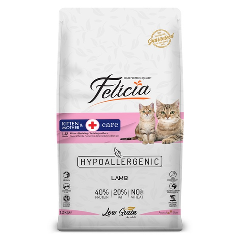 Hạt Felicia Kitten LAMB cho mèo Mẹ mèo Con vị Cừu
