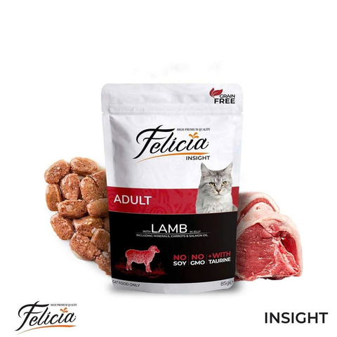 85gr Pate gói Felicia cho Mèo