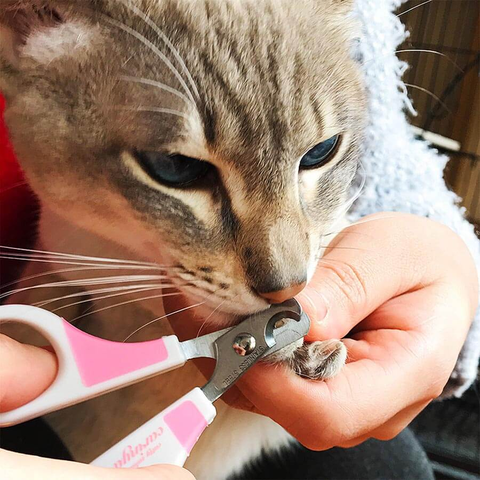 Kéo cắt móng CC cho mèo Doggyman