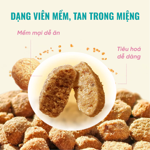 Hạt Bite Of Wild K42 Soft Kitten Mèo con