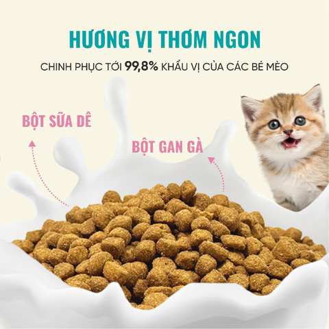 Hạt Bite Of Wild K42 Soft Kitten Mèo con
