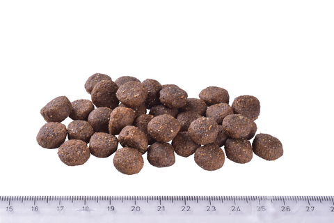 Hạt BRIT Care DOG HYPOALLERGENIC ADULT MEDIUM BREED cho Chó trưởng thành giống nhỡ