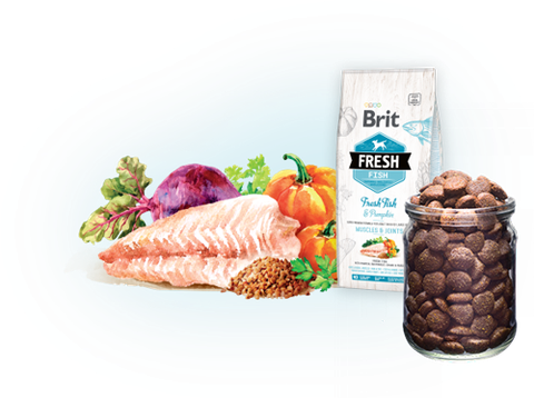 Hạt BRIT Fresh FISH with Pumpkin ADULT LARGE Muscles & Joints cho Chó trưởng thành giống lớn >25kg