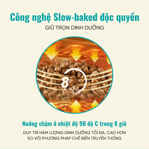 Hạt Bite Of Wild B45 Slow Baked nhân thịt cho Mèo mọi độ tuổi