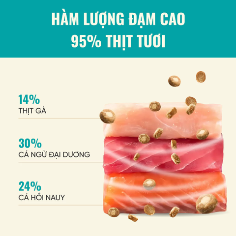 Hạt Bite Of Wild B45 Slow Baked nhân thịt cho Mèo mọi độ tuổi