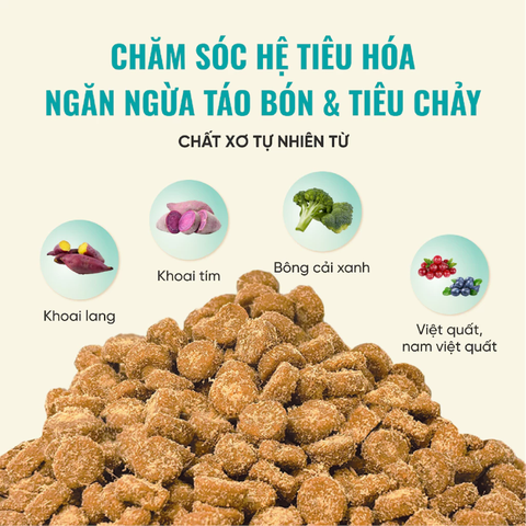 Hạt Bite Of Wild B45 Slow Baked nhân thịt cho Mèo mọi độ tuổi