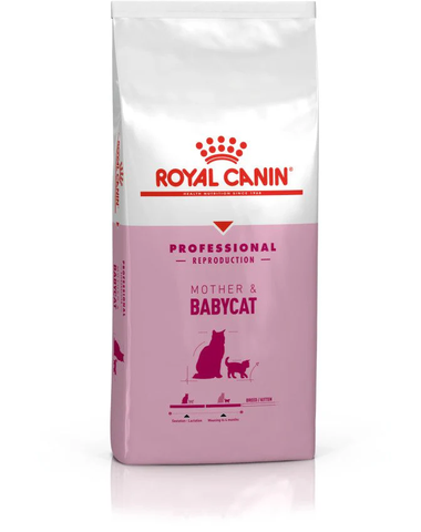 Hạt Mother & Babycat Royal Canin cho Mèo mẹ Mèo con