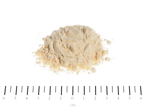 Sữa Kitten Milk Katzenmilch Canina Mèo