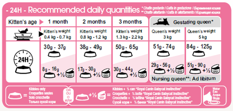 Hạt Mother & Babycat Royal Canin cho Mèo mẹ Mèo con