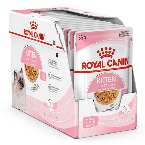 Pate Kitten Royal Canin Mèo