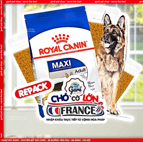 Hạt Maxi Adult Royal Canin cho Chó trưởng thành giống lớn