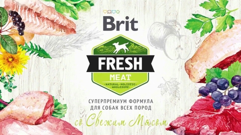 Hạt BRIT Fresh CHICKEN with Potato ADULT Great Life cho Chó trưởng thành