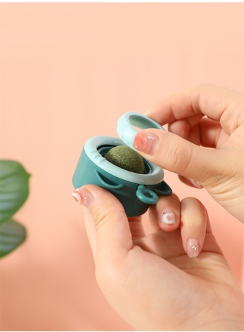 Đồ chơi cỏ mèo dán tường