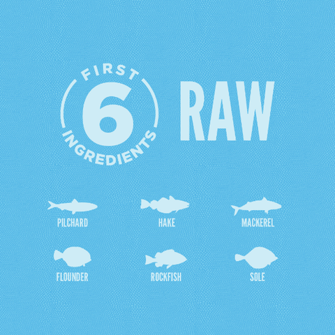 Hạt ORIJEN Six Fish cho Mèo mọi độ tuổi