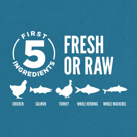 Hạt ORIJEN Guardian 8 cho Mèo Trưởng thành