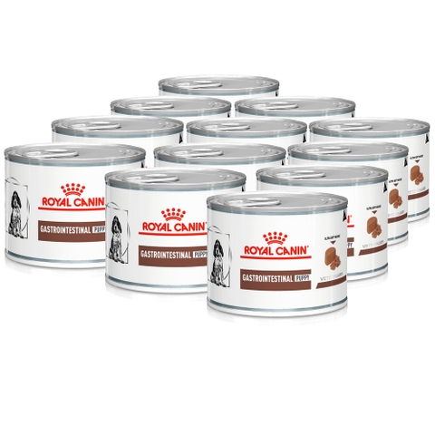 195gr Pate Recovery Royal Canin Chó Mèo Thúc đẩy quá trình phục hồi