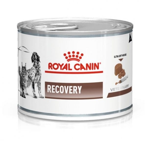 195gr Pate Recovery Royal Canin Chó Mèo Thúc đẩy quá trình phục hồi