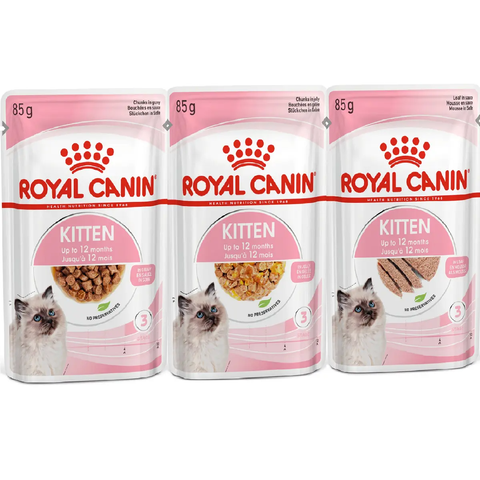 Pate Kitten Royal Canin Mèo