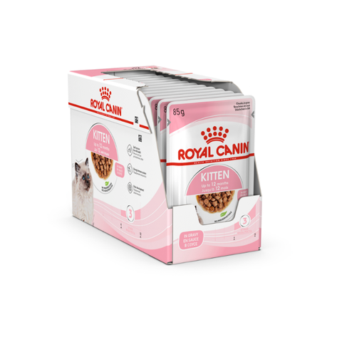 Pate Kitten Royal Canin Mèo