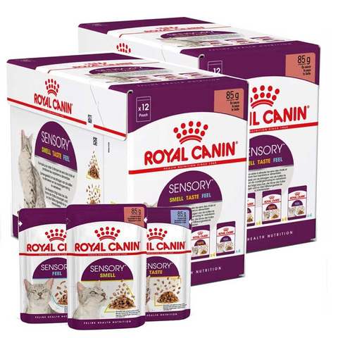 85gr - Gói Pate Sensory Royal Canin Mèo