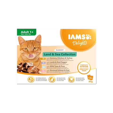 85g - Pate IAMS Delights