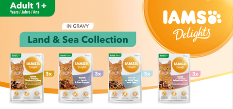 85g - Pate IAMS Delights