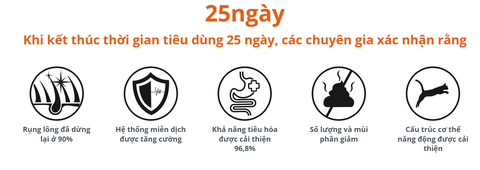 Hạt Felicia Urinary Sterilised Cat Salmon Hỗ trợ tiết niệu cho mèo triệt sản